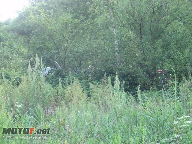 P8139767_调整大小.JPG