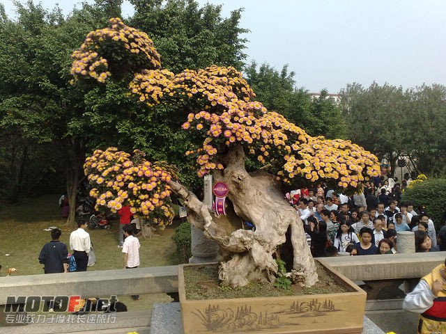 20091129706.jpg