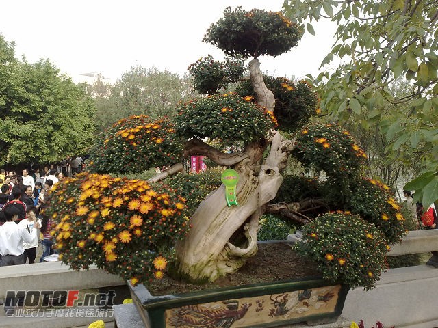 20091129707.jpg