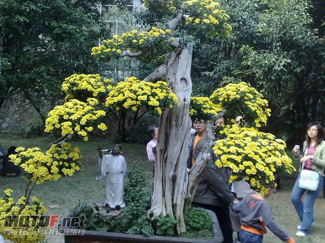 20091129709.jpg