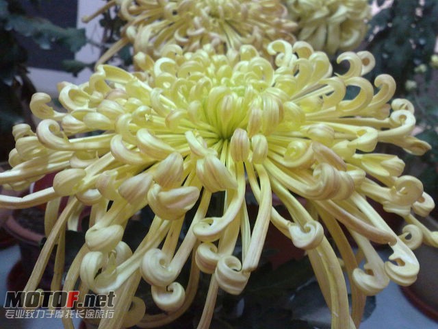 20091129718.jpg