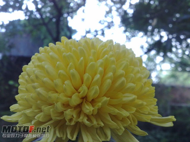 20091129732.jpg