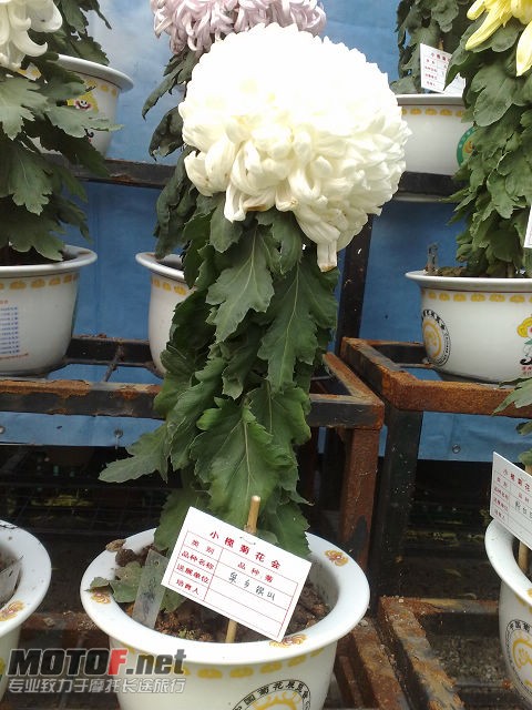 20091129724.jpg