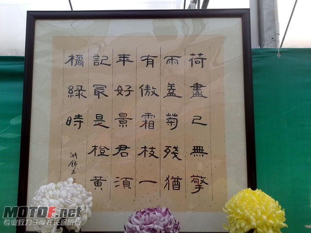 20091129726.jpg