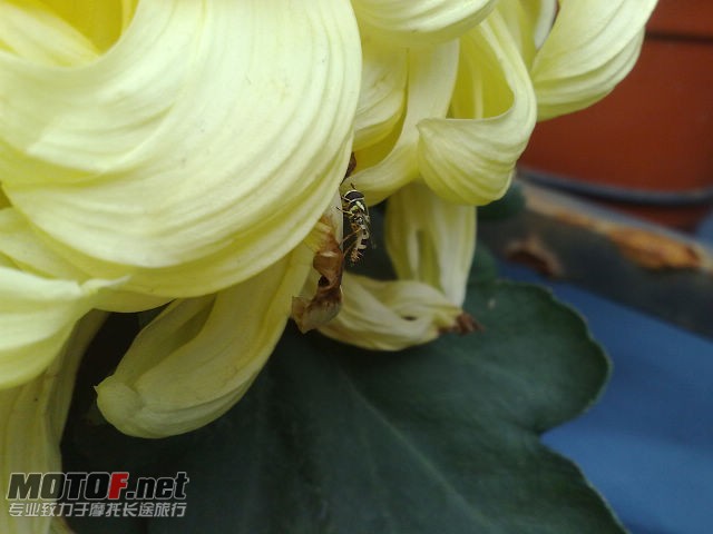 20091129729.jpg