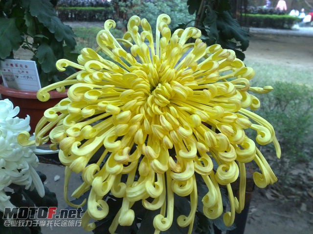 20091129735.jpg