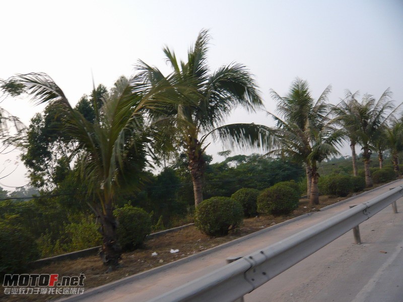 P1130996_调整大小.JPG