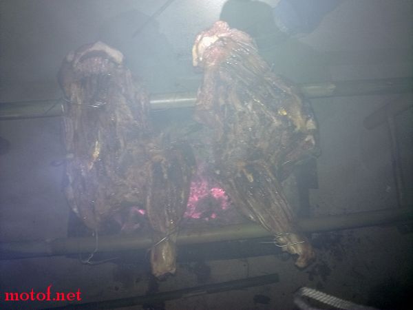 20091028178.jpg