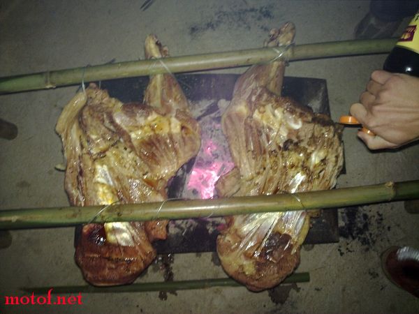 20091028177.jpg