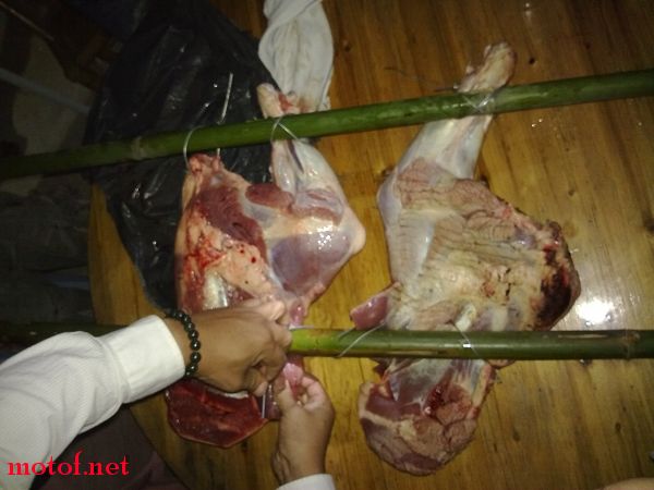 20091028172.jpg