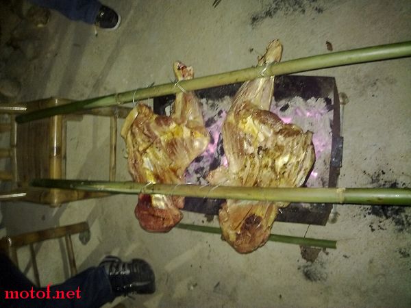 20091028176.jpg