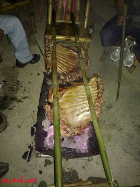 20091028186.jpg