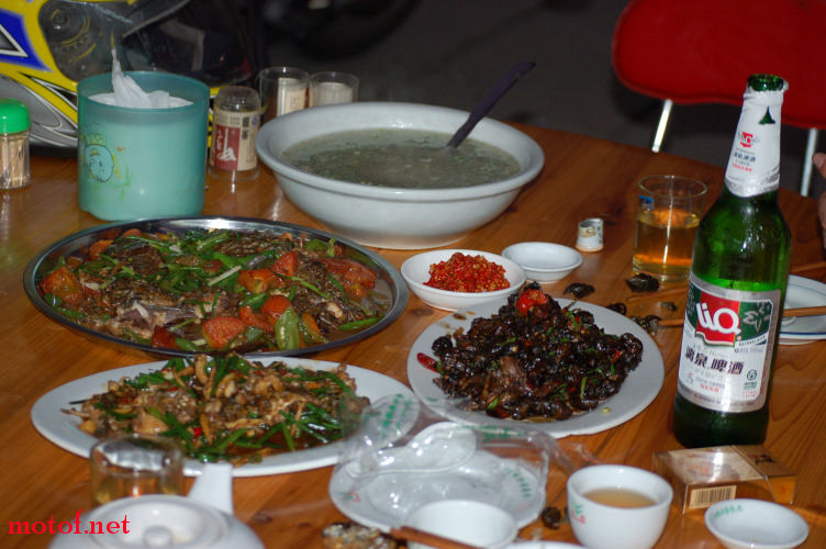 DSC_8772.jpg