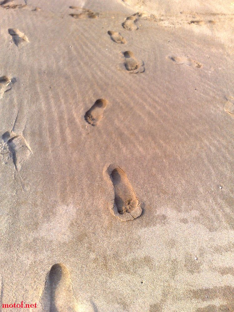 20091025008.jpg