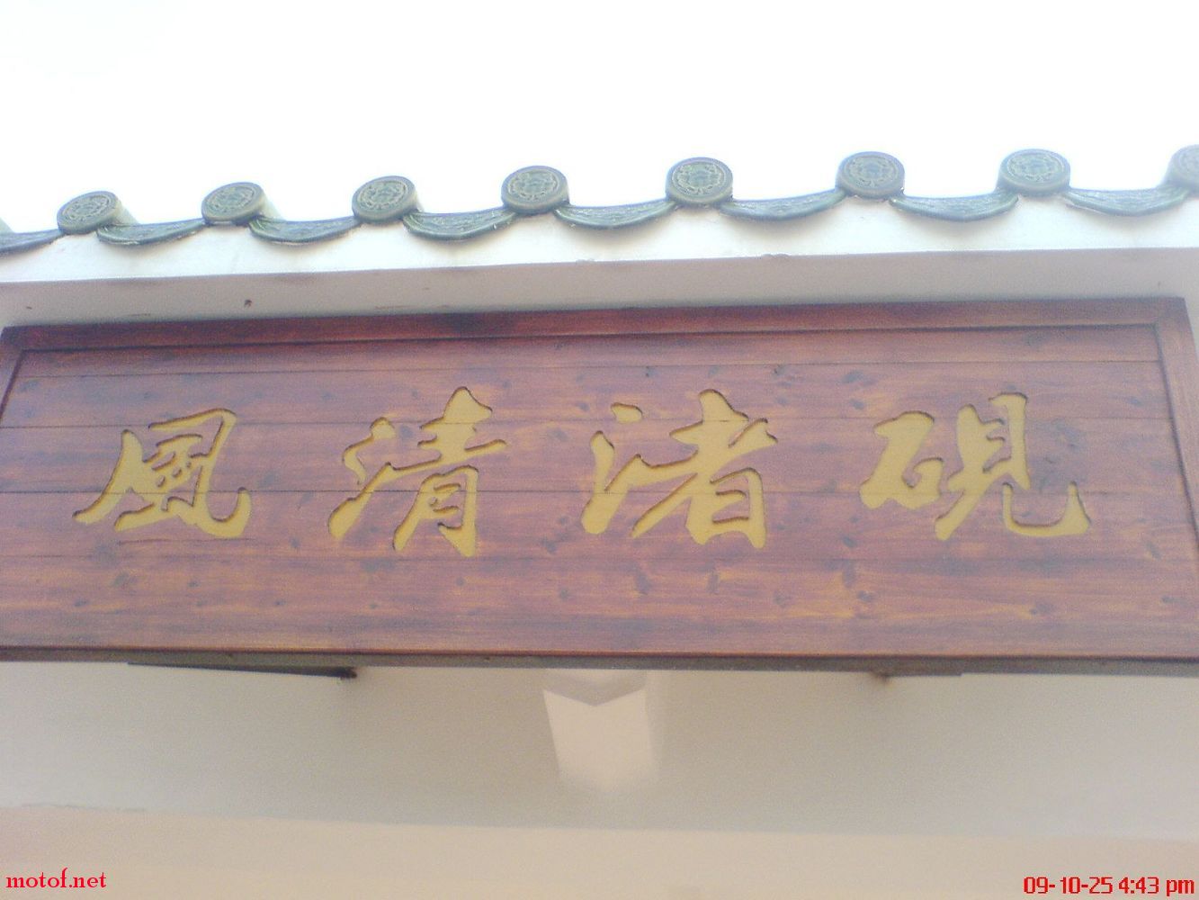 DSC01701.jpg