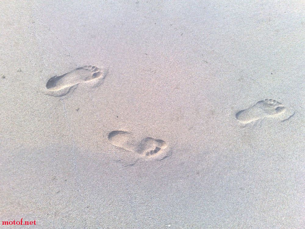 20091025007.jpg