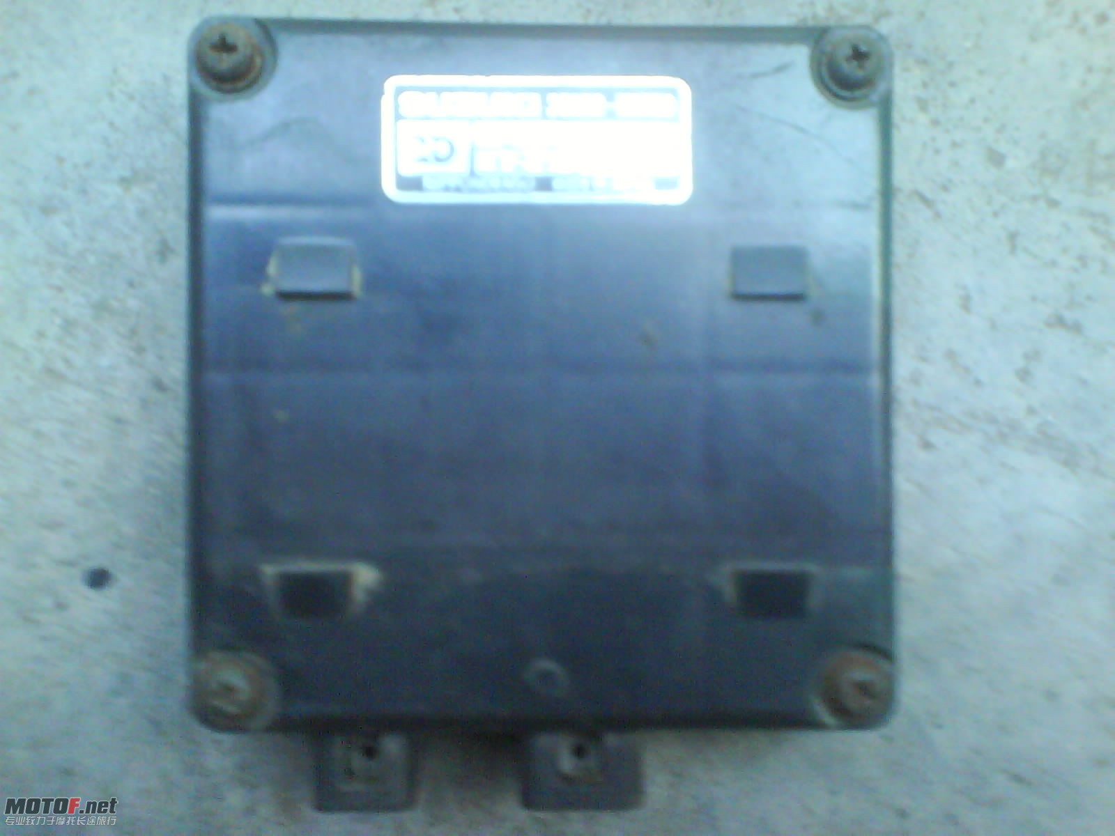 DSC00336.JPG