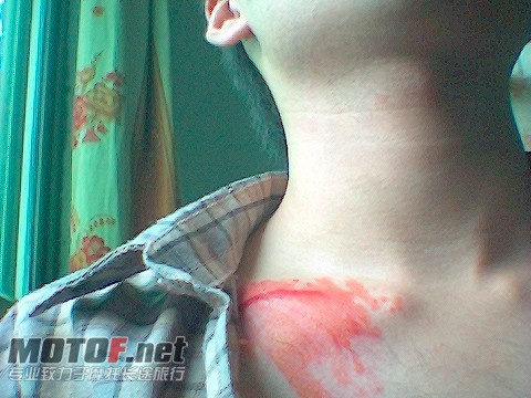 img004.jpg