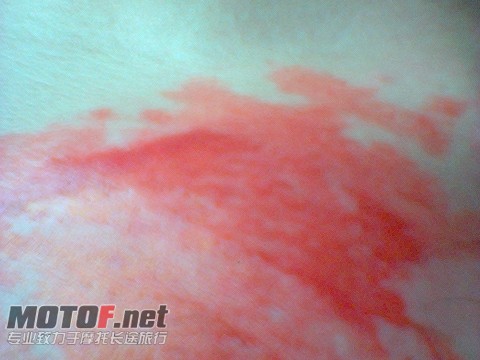 img003.jpg