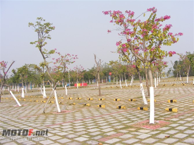 场地3.jpg