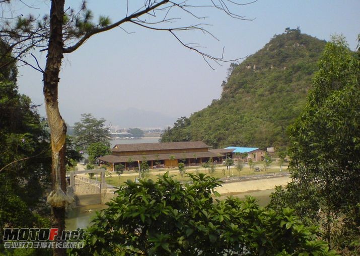 从半山看到的紫云餐厅．．．.jpg
