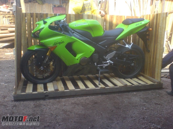 OK,,飞相片给它的新主人,,