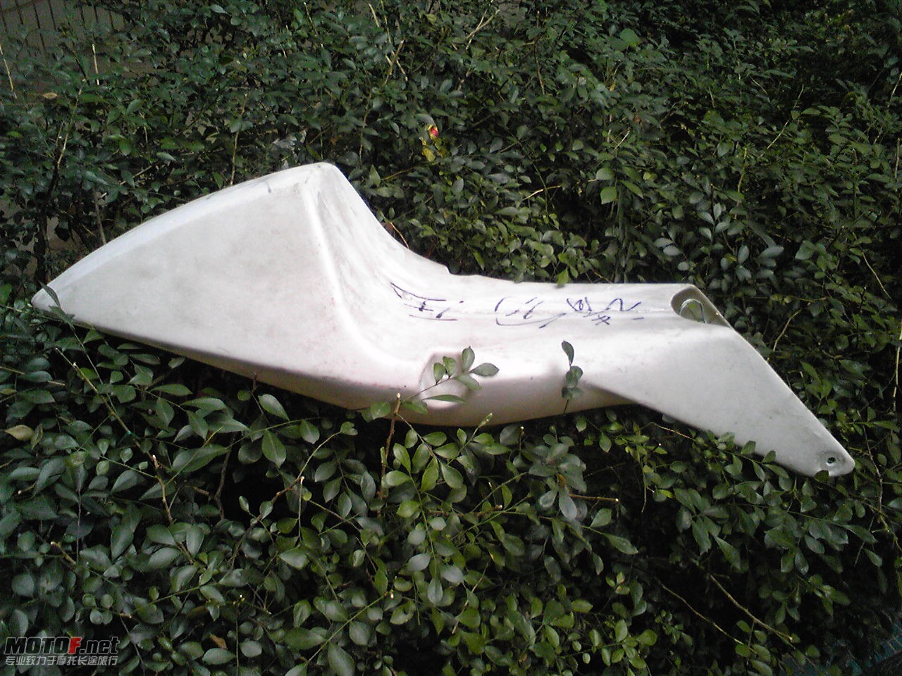 Image001.jpg