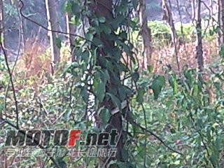 图像081.jpg