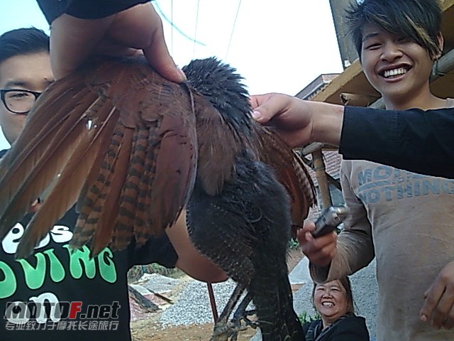 图像087.jpg