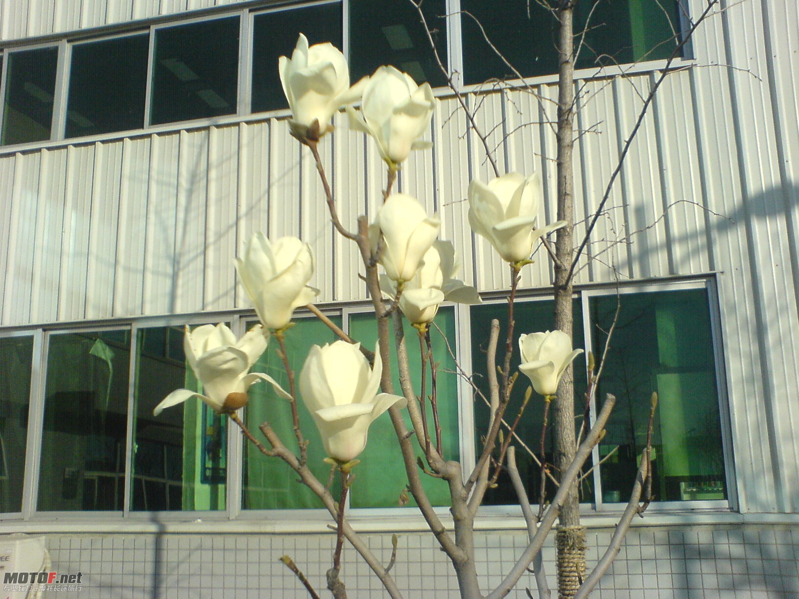 DSC09929.JPG