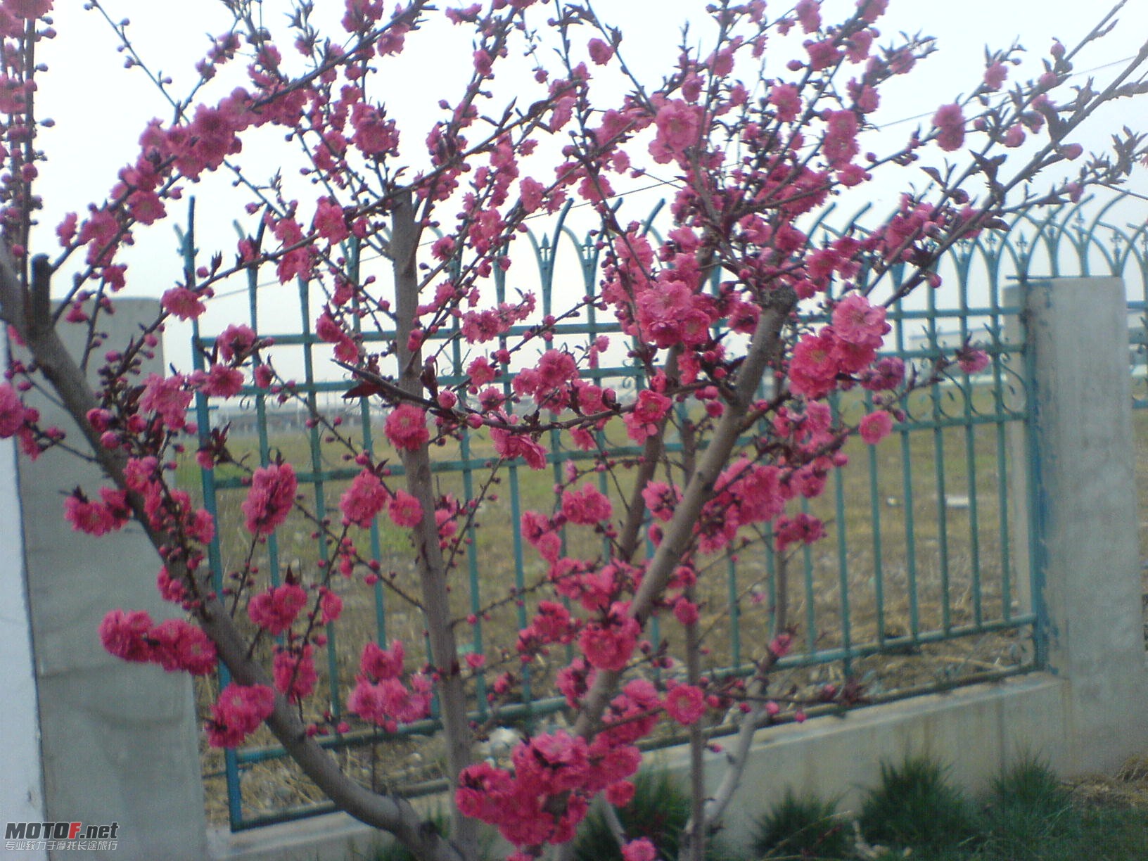 DSC09932.JPG