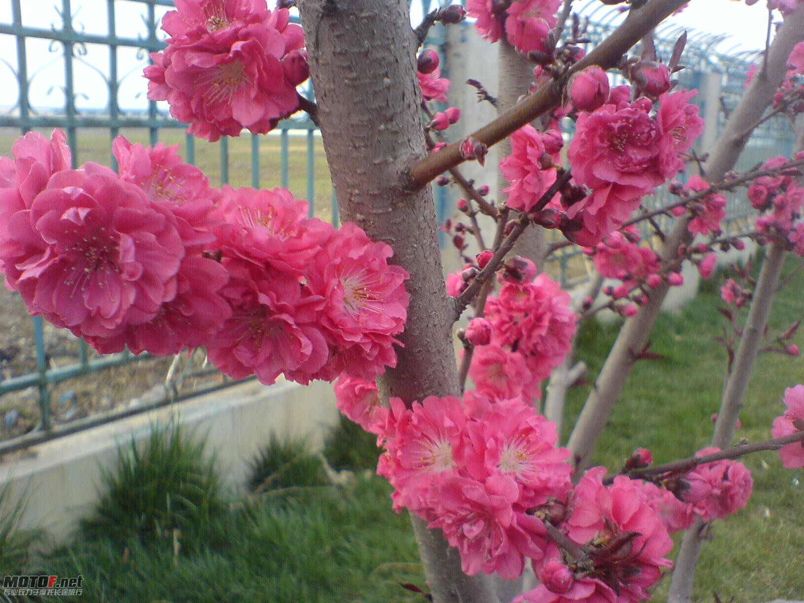 DSC09935.JPG