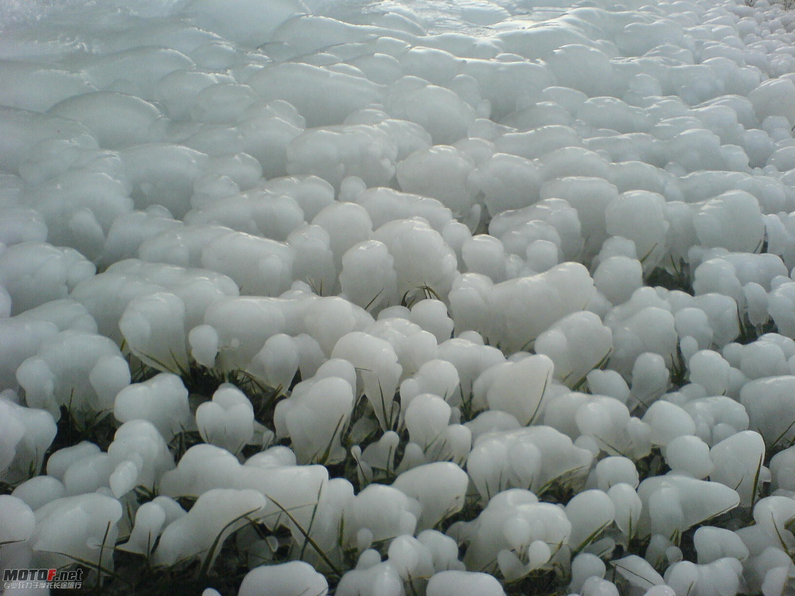 DSC00049.JPG
