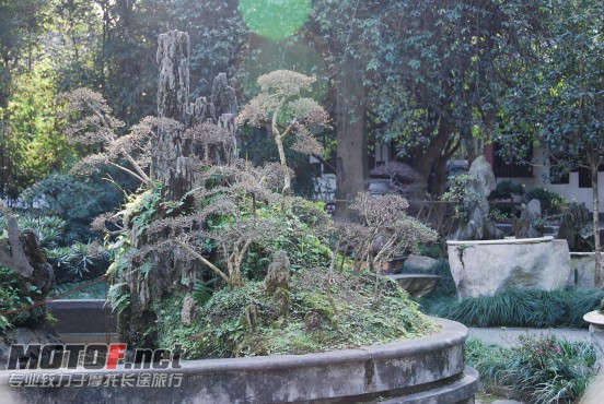 DSC_0211.jpg