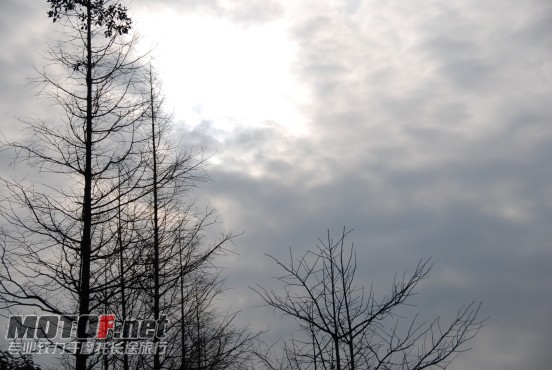 DSC_0623.jpg