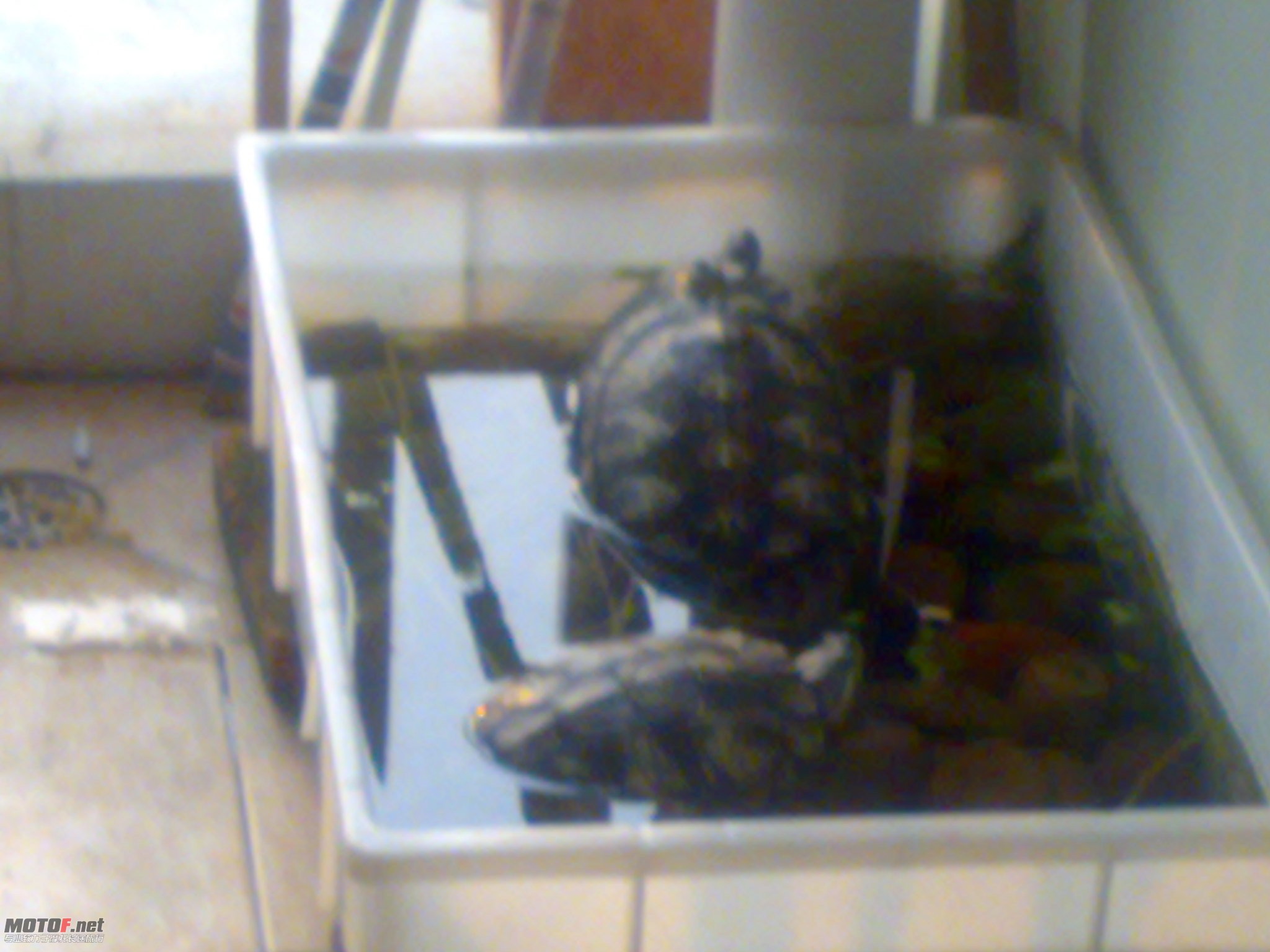 20100318156.jpg