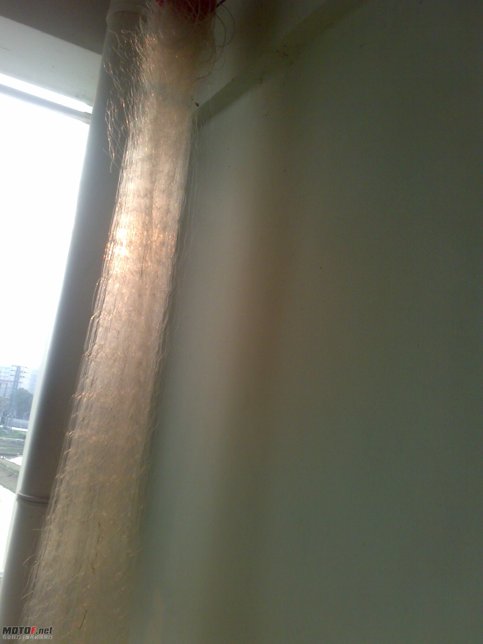 20100318174.jpg