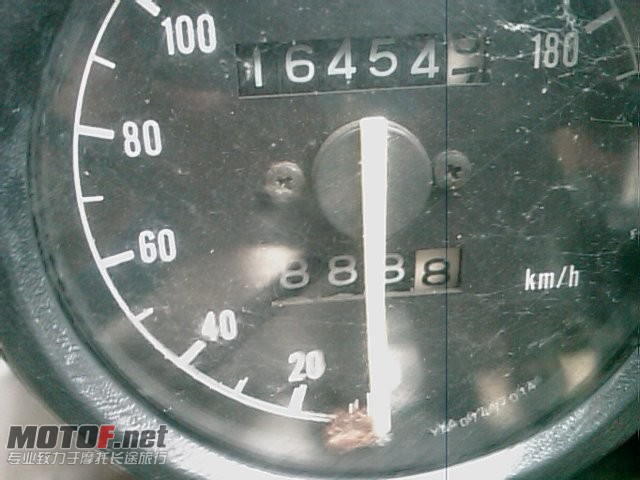 IMAGE_373.jpg