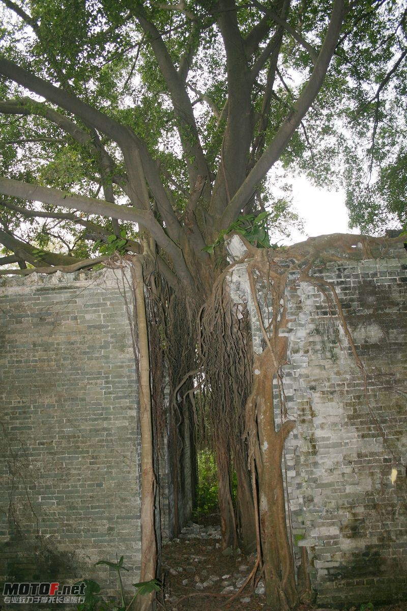 IMG_3054.JPG