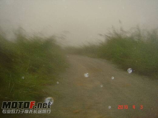 DSC00135.jpg