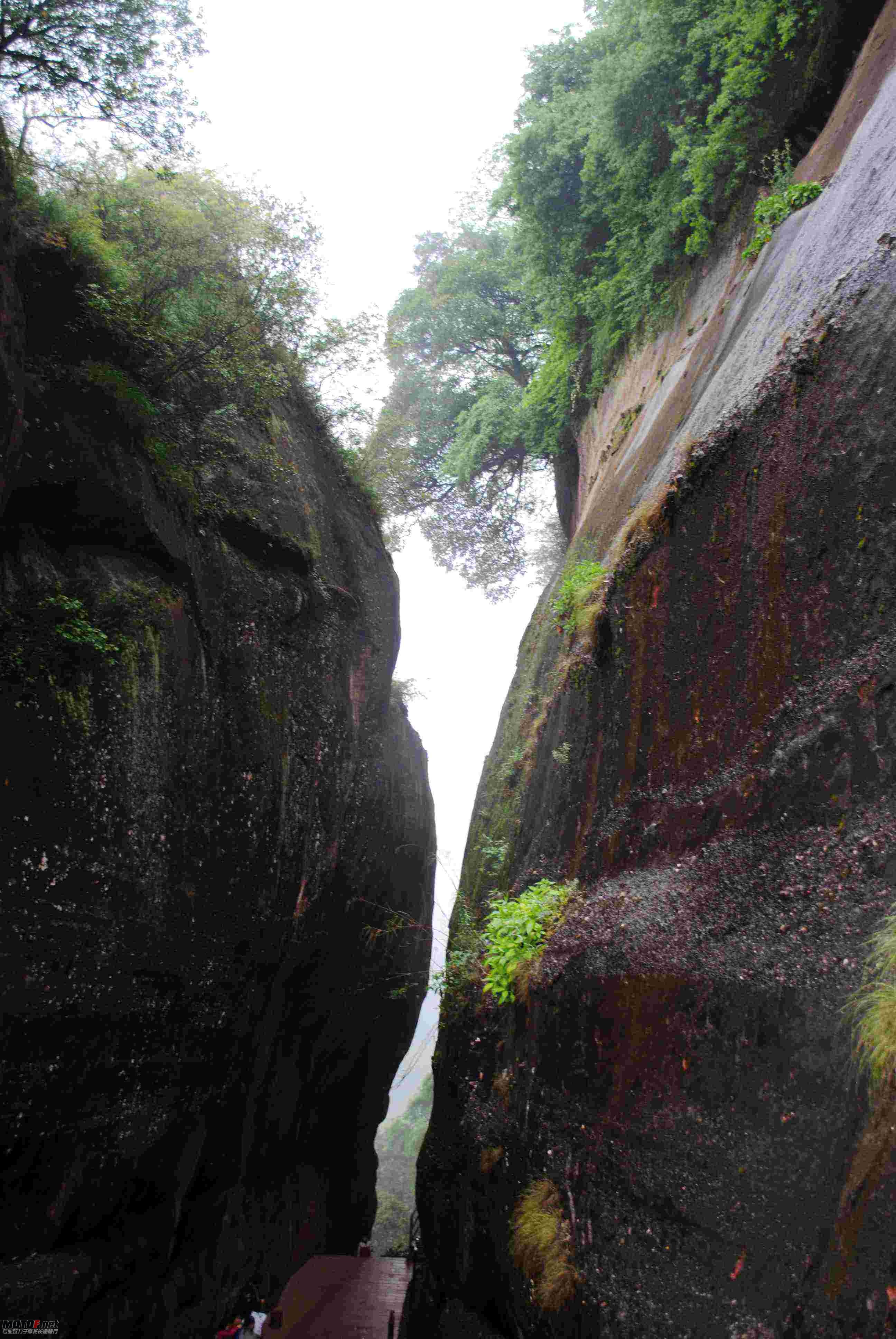 DSC_0437.jpg