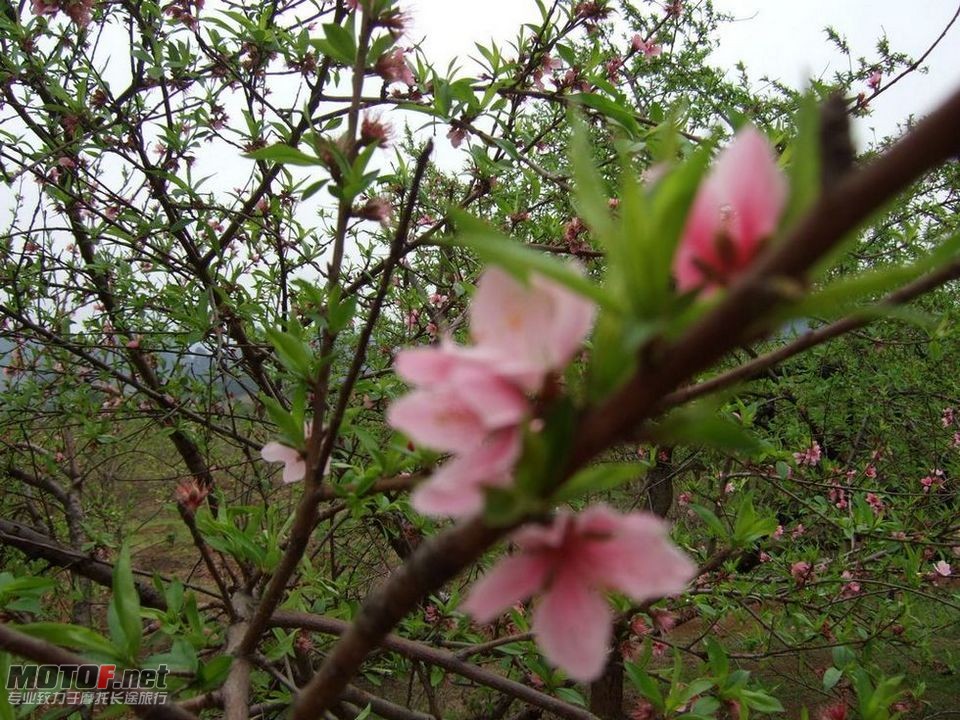 DSCF2107.jpg