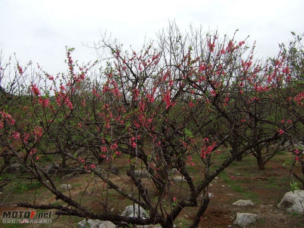 DSCF2119.jpg