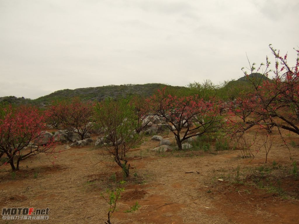 DSCF2123.jpg