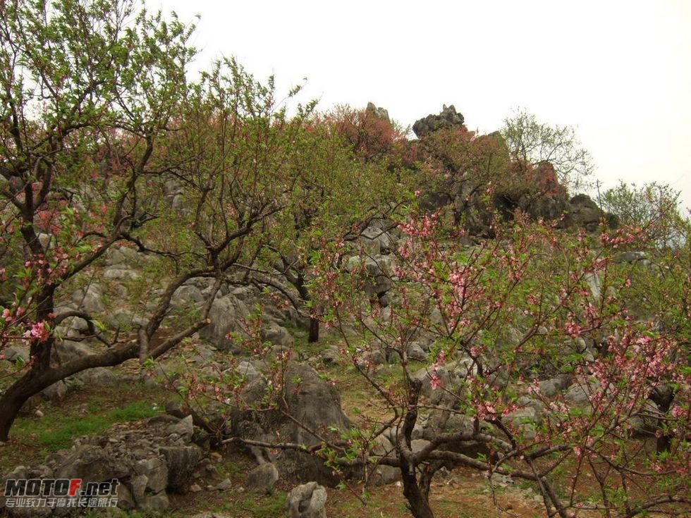 DSCF2131.jpg