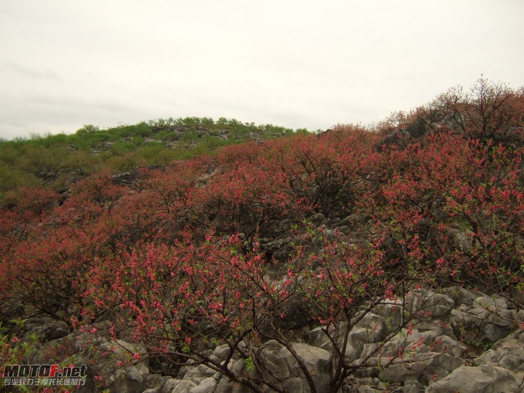 DSCF2134.jpg