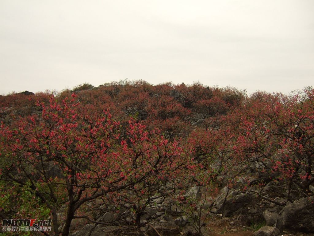 DSCF2154.jpg