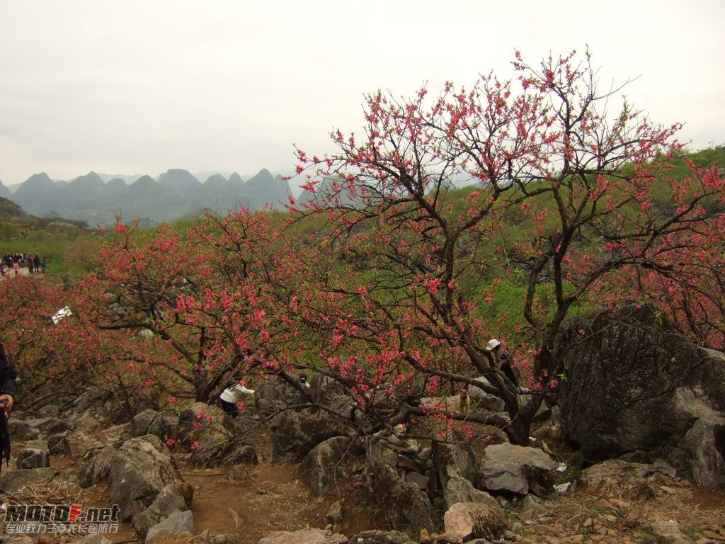 DSCF2142.jpg