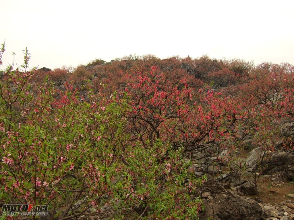 DSCF2160.jpg