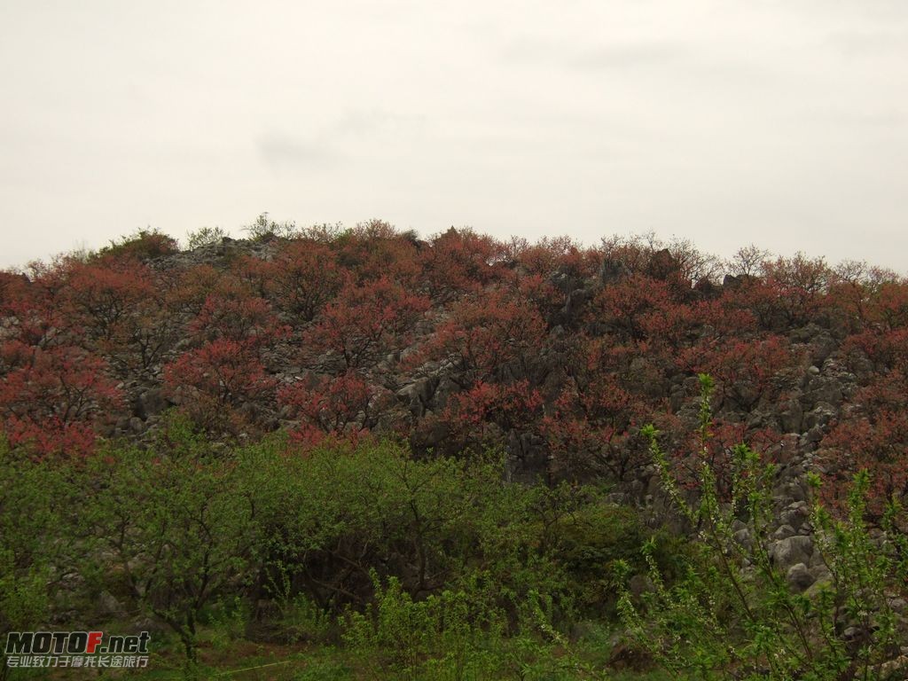 DSCF2161.jpg